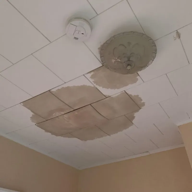 Ceiling Water Damage Repair in Smithton, IL
