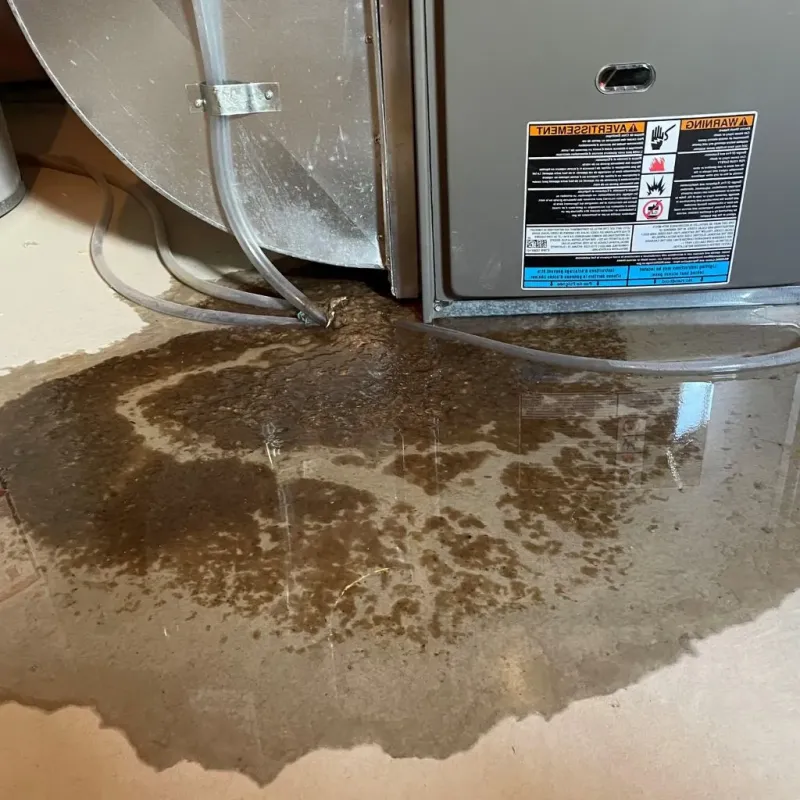 Pipe Burst and Leak Restoration in Smithton, IL