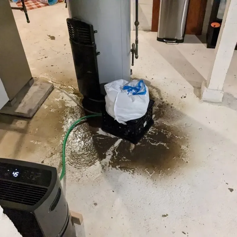 Sewage Backup Cleanup Service in Smithton, IL